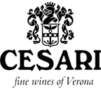 Cesari Verona - Umaniversitas Portfolio